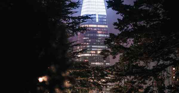 布谷加速器64位系统怎么安装