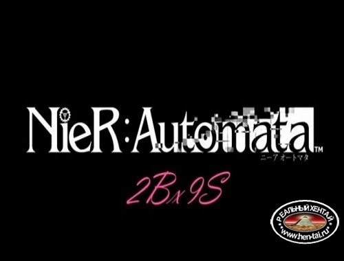 Nier: Automata 2Bx9S