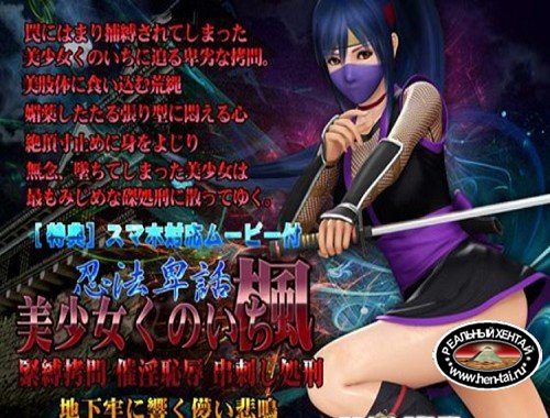 Beautiful Ninja Kaede (2017/PC/Japan)