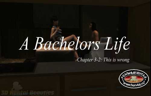 A Bachelors Life - This Is So Wrong